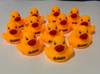 2" Rubber Ducks_250 minimum
