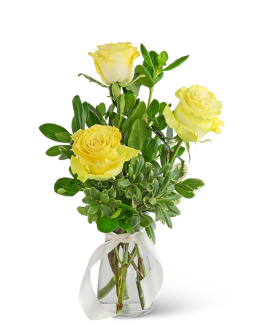 Three Yellow Roses