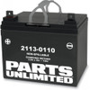 Parts Unlimited Factory Activated AGM Maintenance Free Battery 2113-0110