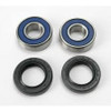 Kawasaki H1, H2 750 1972-1975 Wheel Bearing Kit (Front)