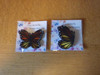 Butterfly Fridge Magnets