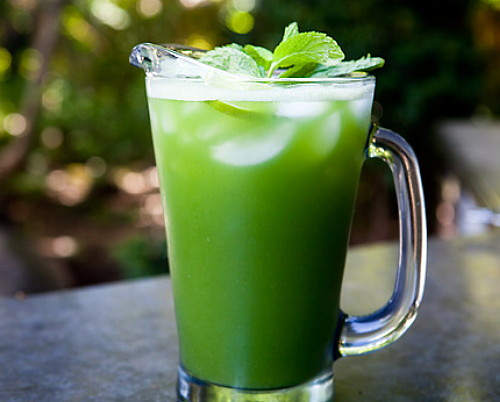 Lime Mint - Mint Sauces, Fruit Salads, Punches - Live Plant -  3" Pot