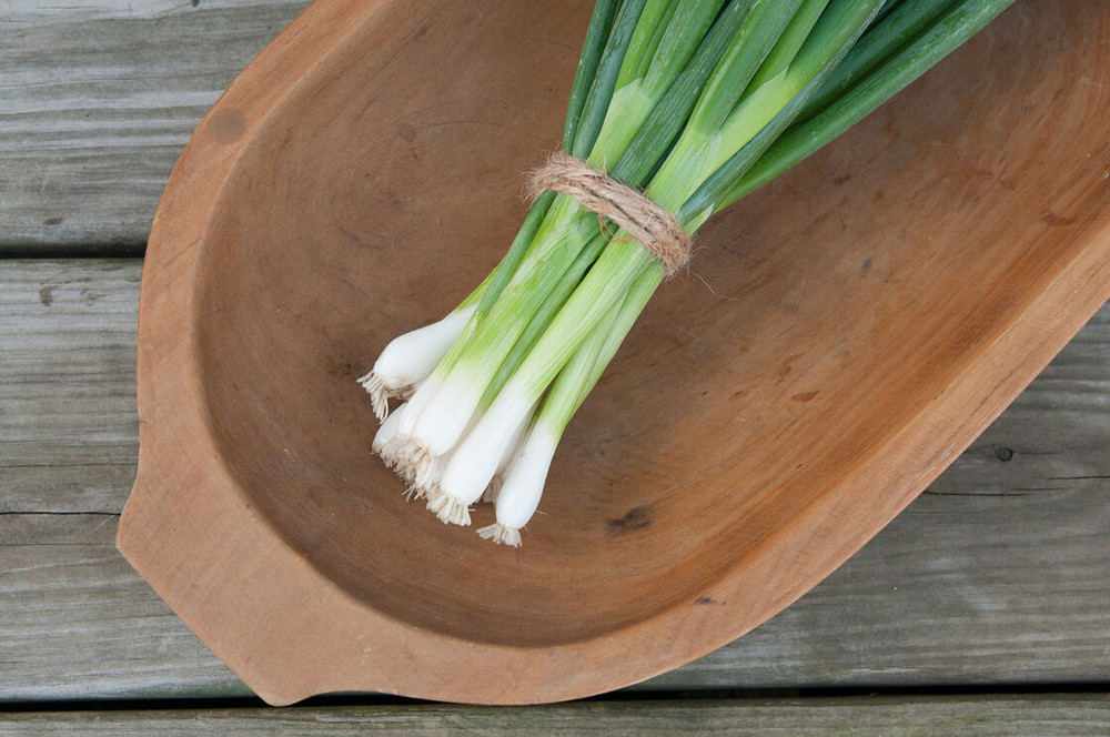 Evergreen Bunching Onion- 200 Seeds