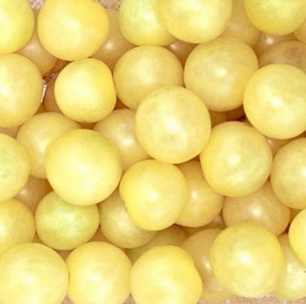 Snow White Cherry Tomato Plant - Very Sweet! - 4" Pot