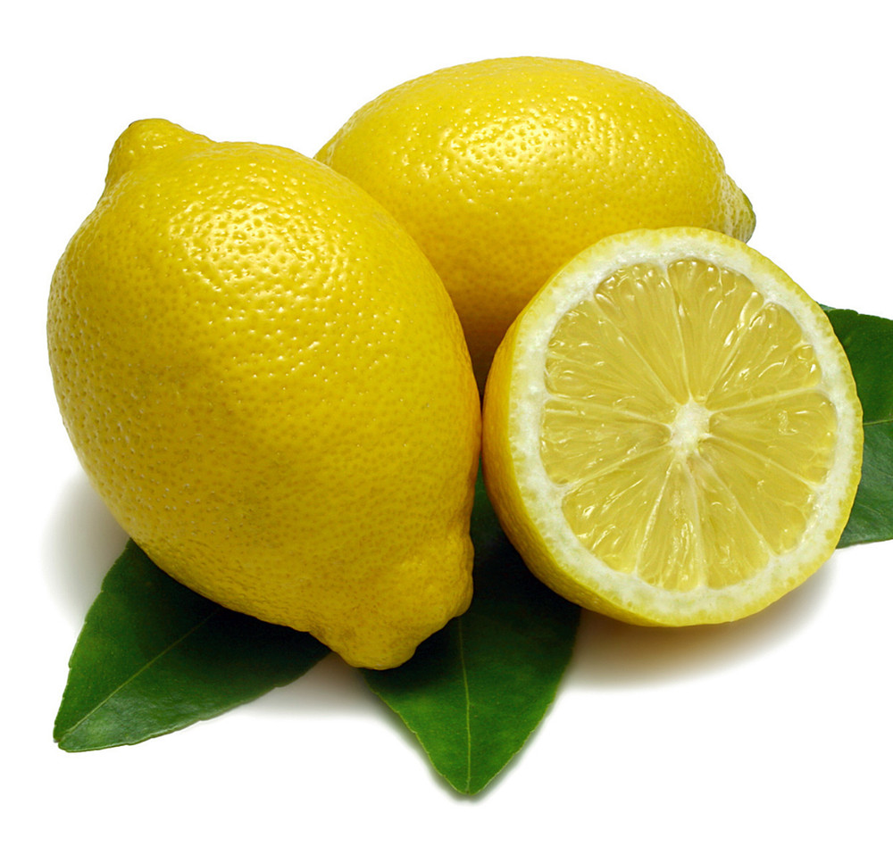 Ponderosa Lemon Tree - 8" Pot - NO SHIP TO TX,FL,AZ,CA,LA,HI