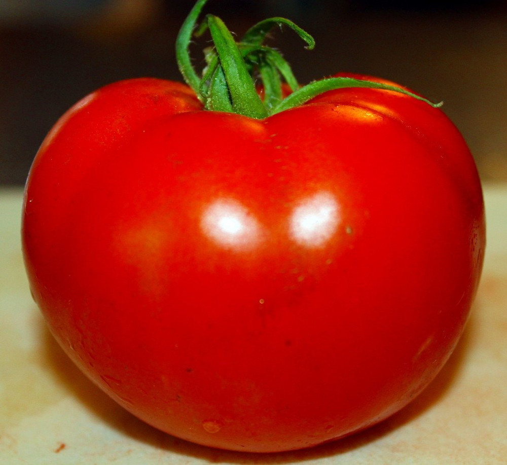 Celebrity Tomato Plant - 4" Pot - Glossy & Bright Red