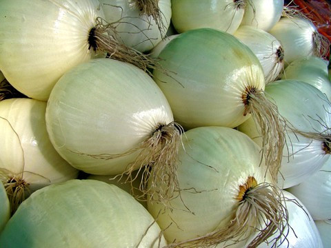 Walla Walla Onion 80 Seeds - Very Mild/Eat Like Apple