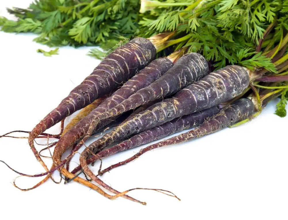 Black Knight Carrot 100 Seeds - First Near Black Carrot