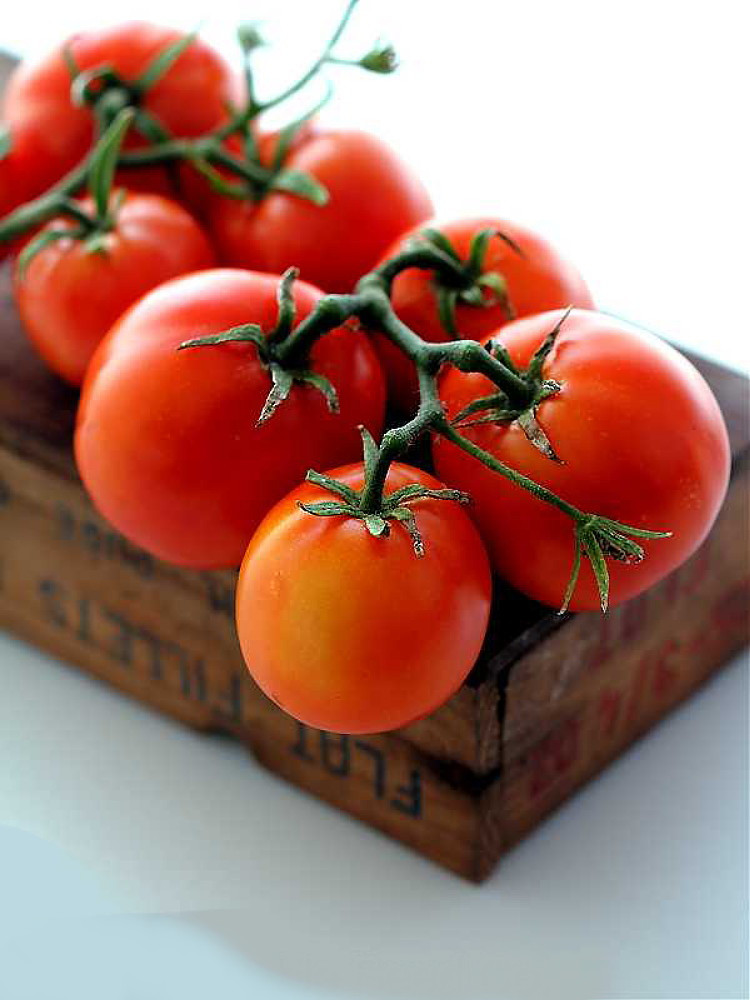 New Yorker Tomato 35 Seeds - Bush Beefsteak Type