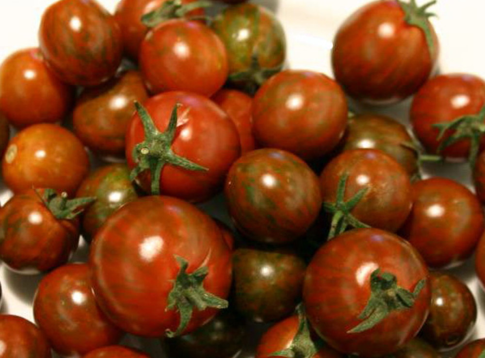 Black Zebra Cherry Tomato 10 Seeds Rare Hard To Find Hirt S Gardens