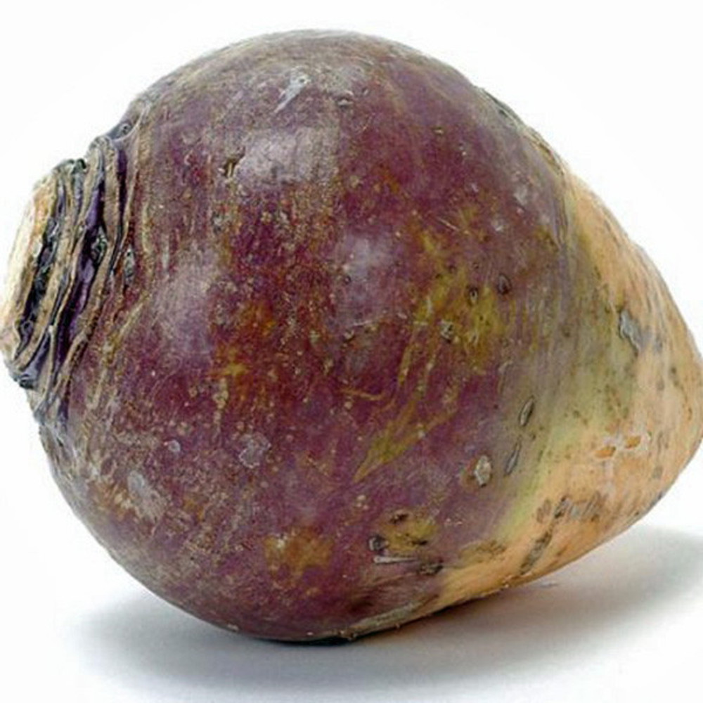 American Purple Top Rutabaga Seeds - 20 Seeds