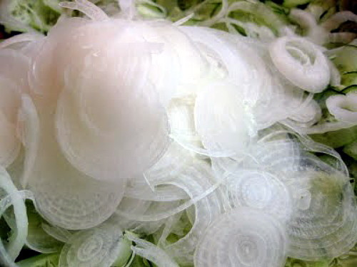 Cipollini Bianca Di Maggio Onion 250 Seeds-Current Rage