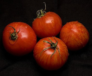 Red Zebra Tomato 15 Seeds - Great Taste - Hirt's Gardens