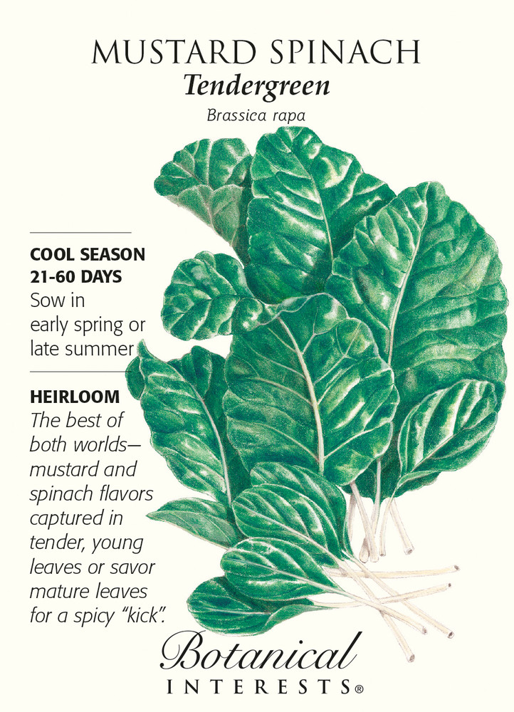 Tendergreen Mustard Spinach Seeds - 3 grams - Botanical Interests