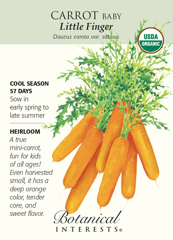 Little Finger Baby Carrot Seeds-1 g-Certifield Organic