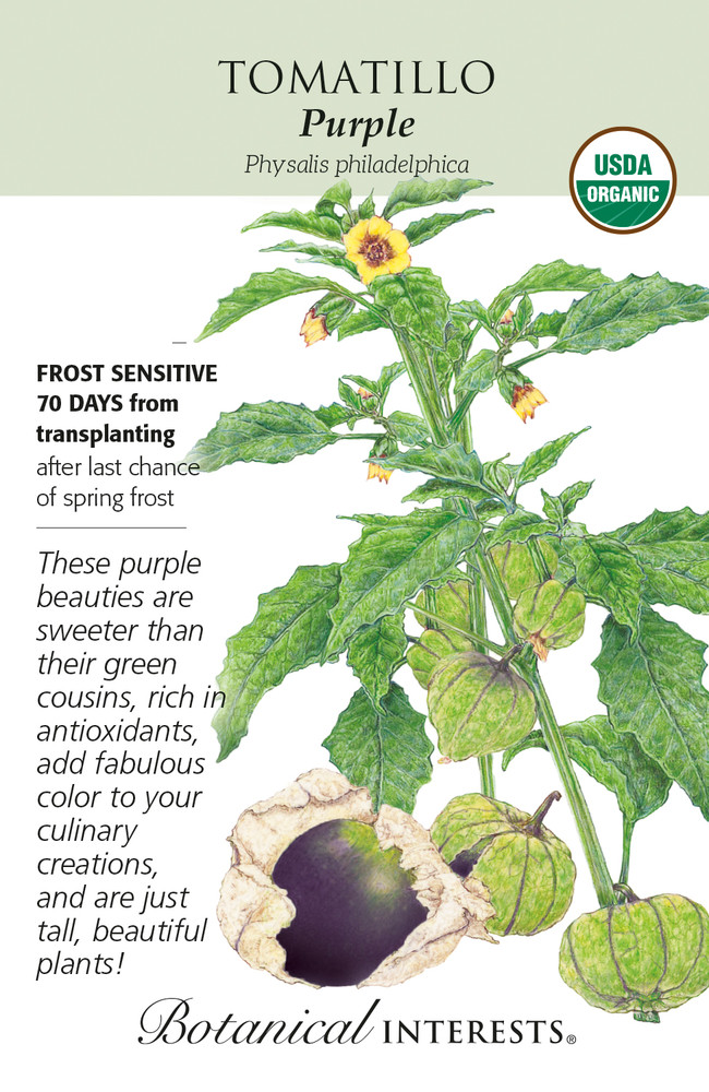 Organic Purple Tomatillo Seeds - 150 Milligrams