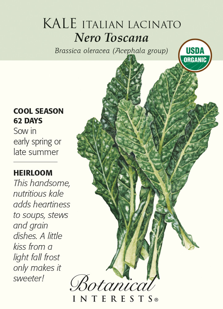 Italian Nero Toscana Kale Seeds - 1 gram - Organic - Botanical Interests