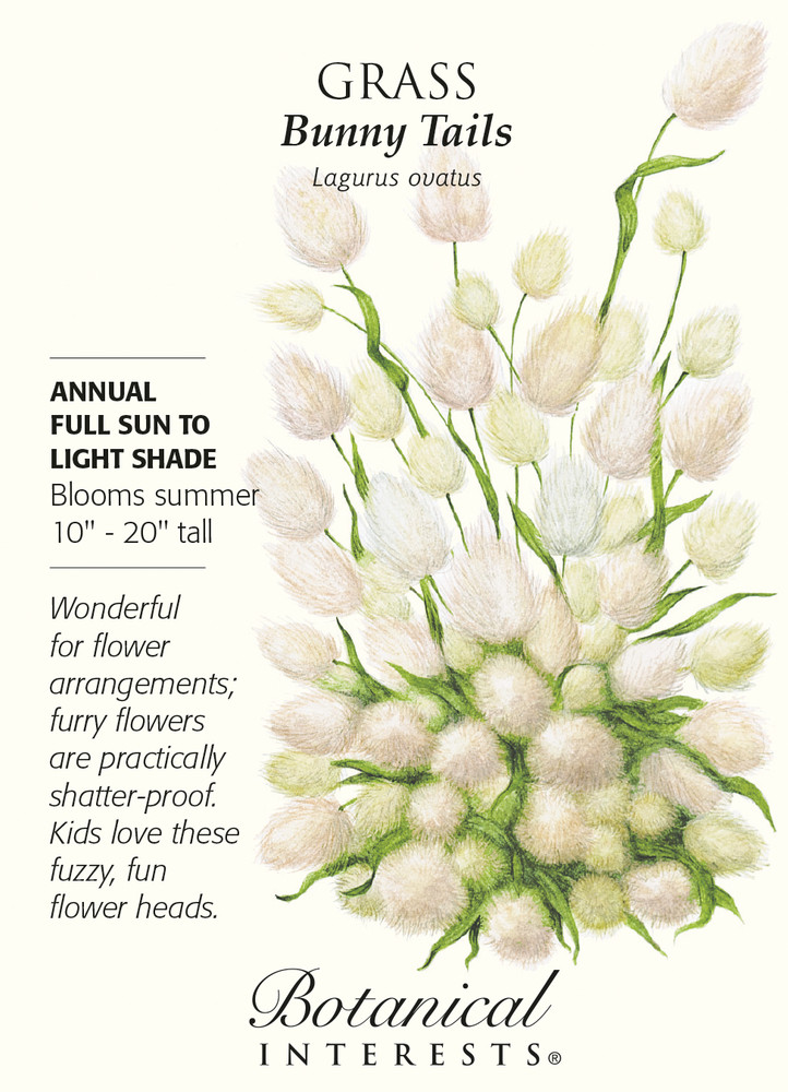 Bunny Tails Grass Seeds - 300 mg - Lagurus