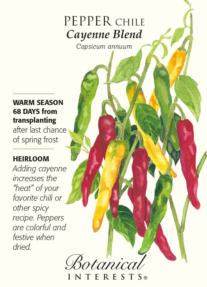 Cayenne Blend Hot Pepper Seeds - 30 Seeds