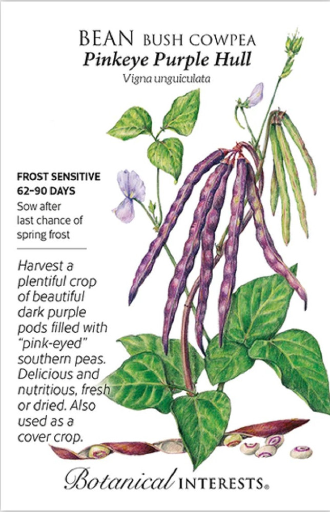 Pinkeye Purple Hull Bush Cowpea Bean Seeds - 25 grams - Botanical Interests