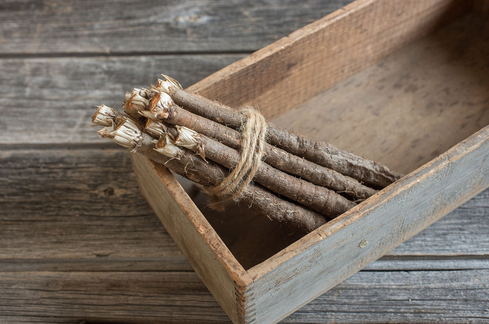 Black Salsify Oyster Plant - Scorzonera hispanica 'Enorma' Seeds - 150 Seeds
