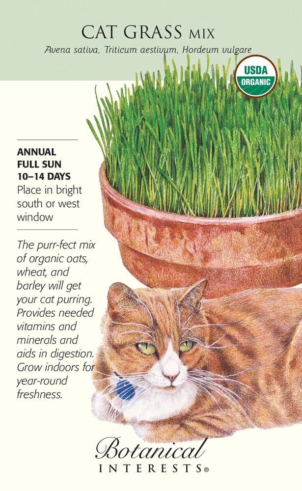 Organic Cat Grass Mix Seeds - 45 Grams - Botanical Interest