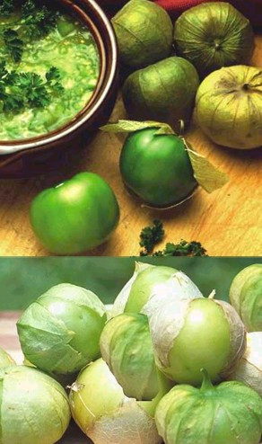 Tomatillo Plant - Husk Tomato - 2.5" Pot