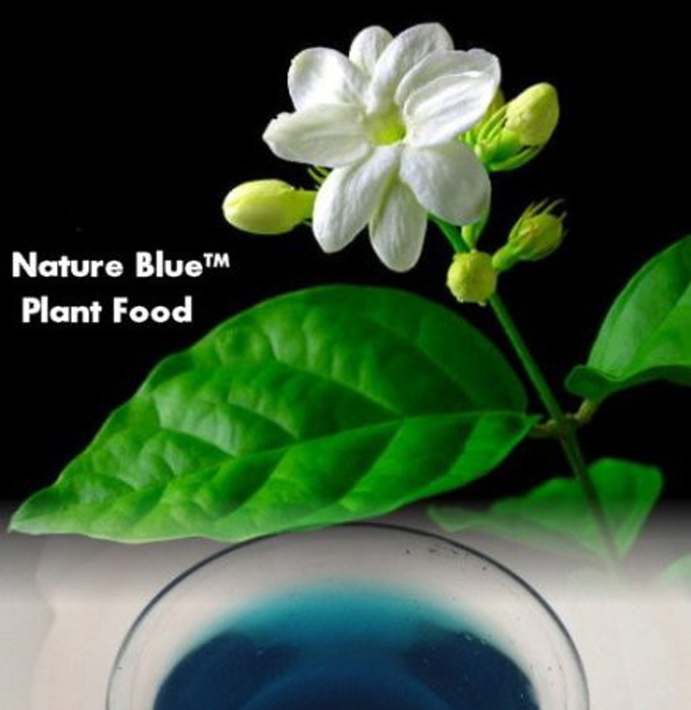 Nature Blue Plant Food™ 20-10-20 Formula - 1.5 lb Concentrated Makes 75+ Gallons