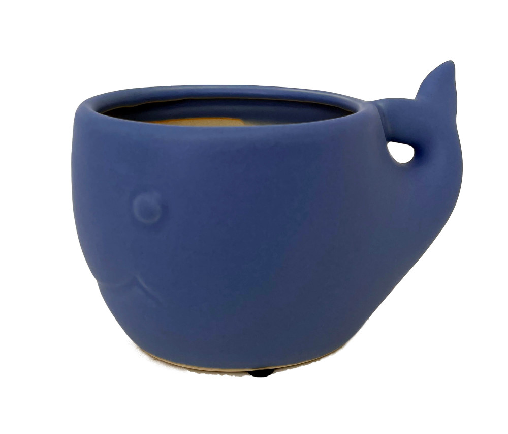 Blue Whale Ceramic Animal Pot - 6" x 4" - NEW