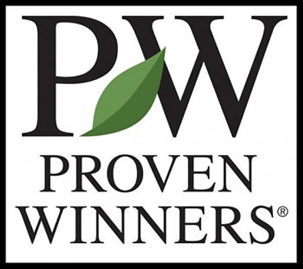 GLITTERS & GLOWS® Arrowwood Viburnums - Proven Winners ColorChoice  Flowering Shrubs