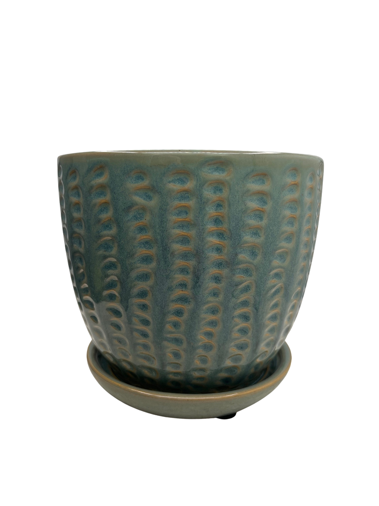 Pompeii Ceramic Planter with Attached Saucer - Arctic - 6" x 5.5"