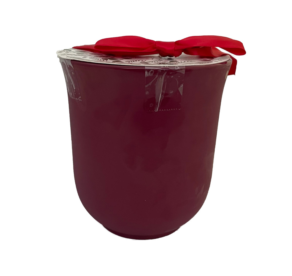 Apple Blossom Bourdeux Ceramic Amaryllis Kit - Bulb/Planting Medium/Soil