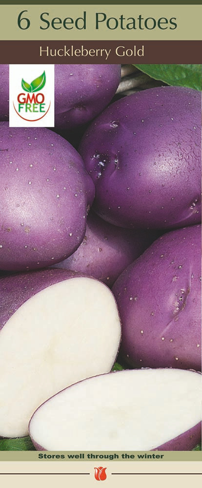 Huckleberry Gold Potato - 6 Certified Seed (Tubers) - NEW