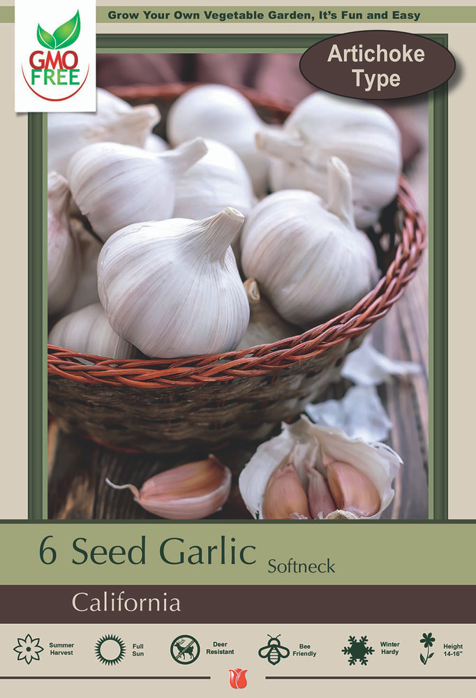 California Baja White Softneck Garlic Bulbs - 6 Jumbo Bulbs