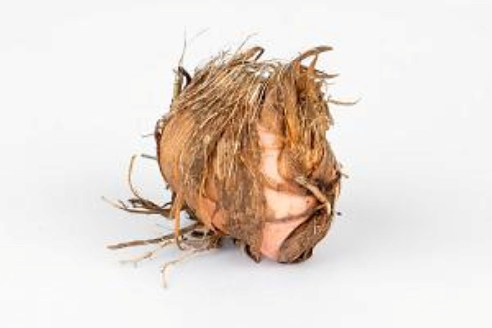 Emily Mckenzie Crocosmia 5 Bulbs 8/10 cm - Very Hardy