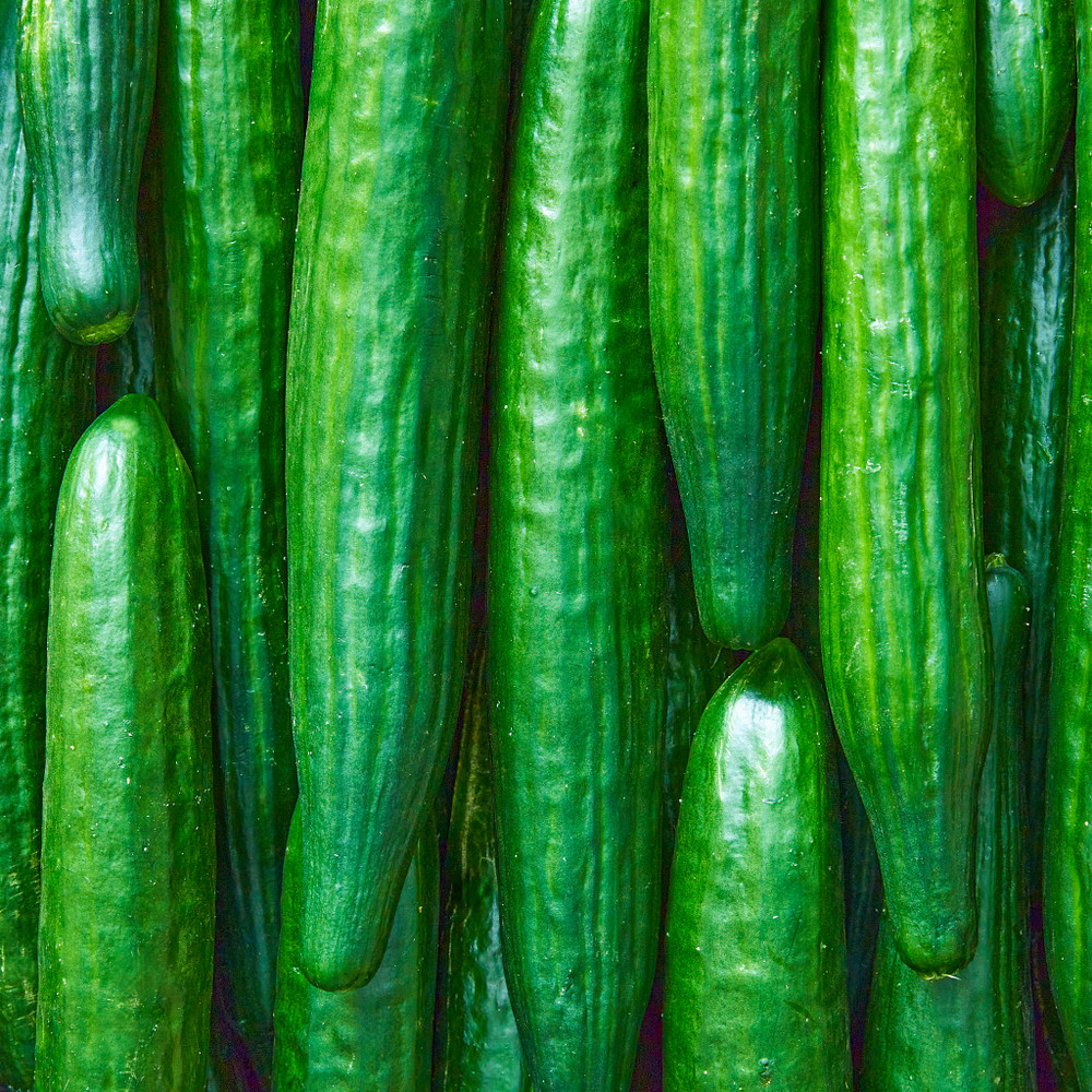 English Cucumber - Telegraph Improved - 20 Seeds