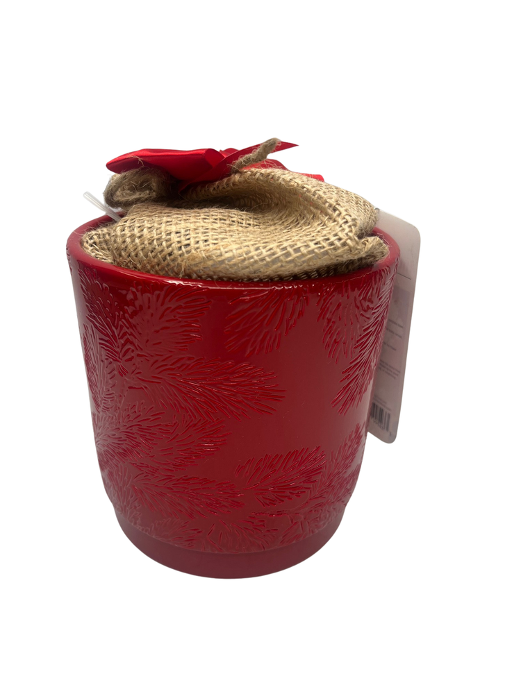 Ziva Paperwhite Growing Kit Red Ceramic Pot - 3 Bulbs/Pot/Planting Medium