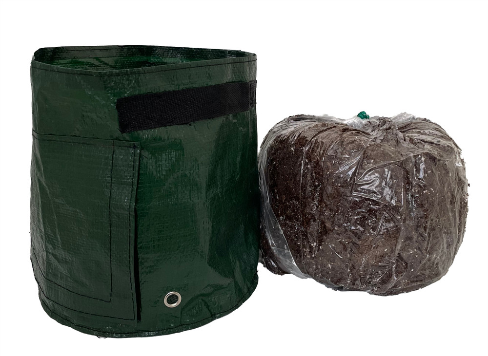 Vegetable Grow Bag with 10 Quarts of Potting Soil - Great for Root Vegetables