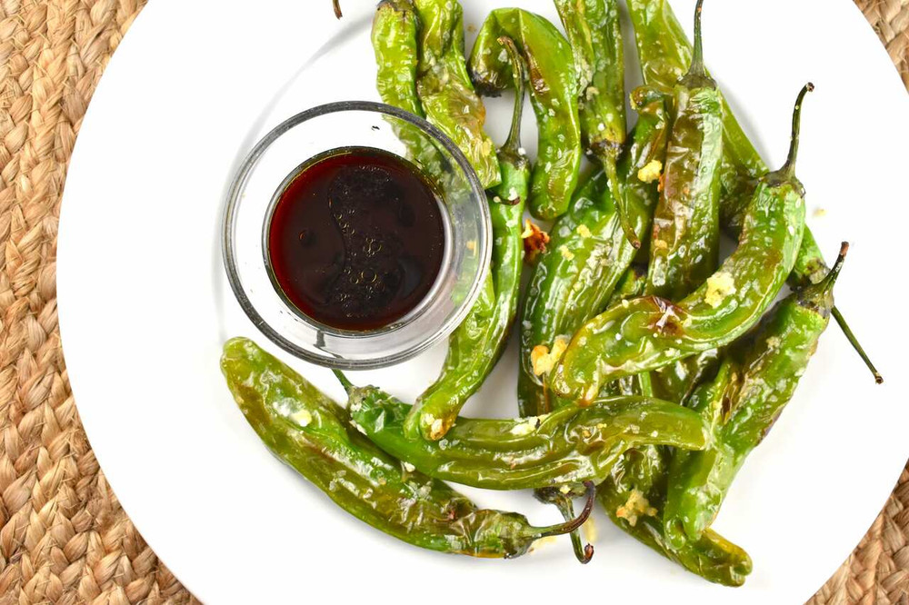 Shishito Sweet Wrinkled Old Man Pepper Plant - 2.5" Pot - 獅子唐辛子 Shishitōgarashi