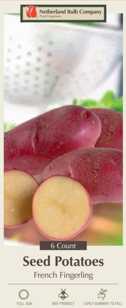 French Fingerling Potato 6 Tubers - Heirloom