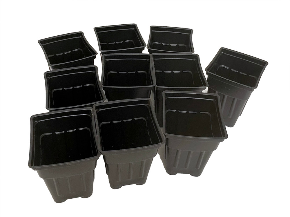 Black Plastic Nursery Pots - 10 Pack - 3.5" L x 2.5" W