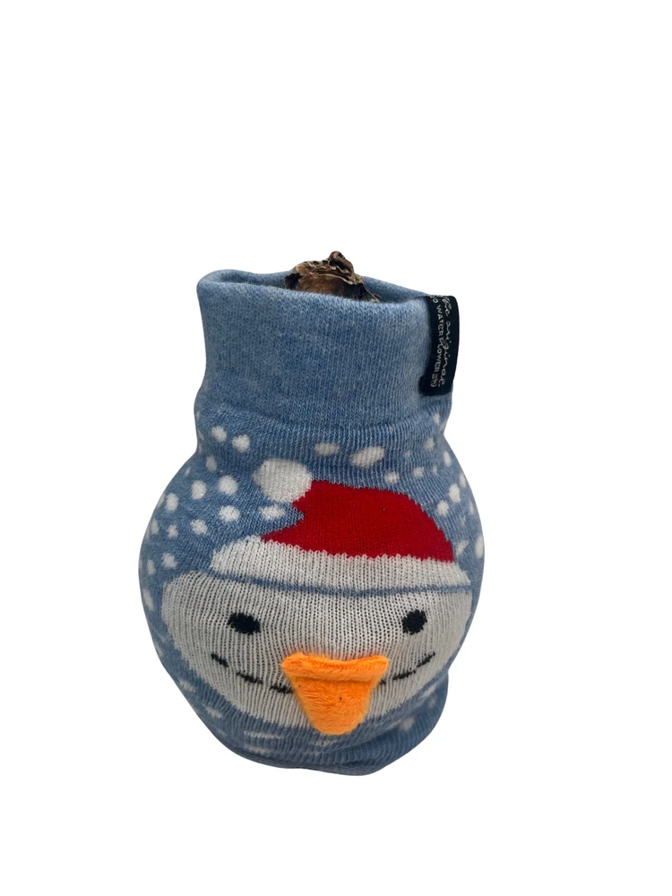 Snowman Sweater Wax Amaryllis Bulb - Blooms Without Soil/Water