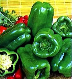 Monster Bell Pepper Plant - HUGE - 4" Pot