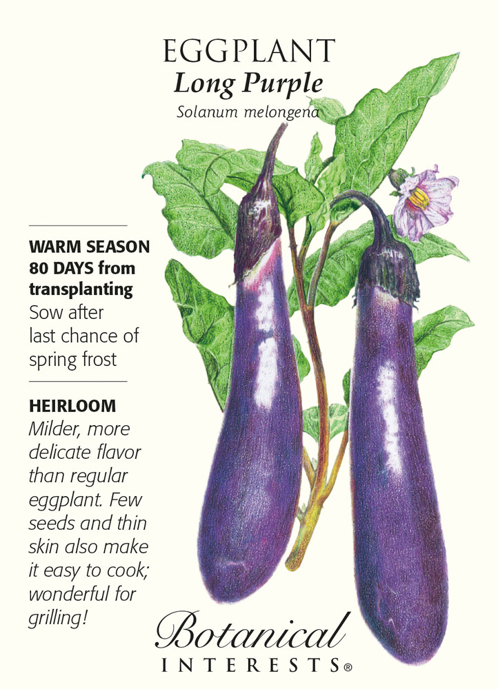 Long Purple Eggplant Seeds - 500 mg - Heirloom - Hirt's Gardens