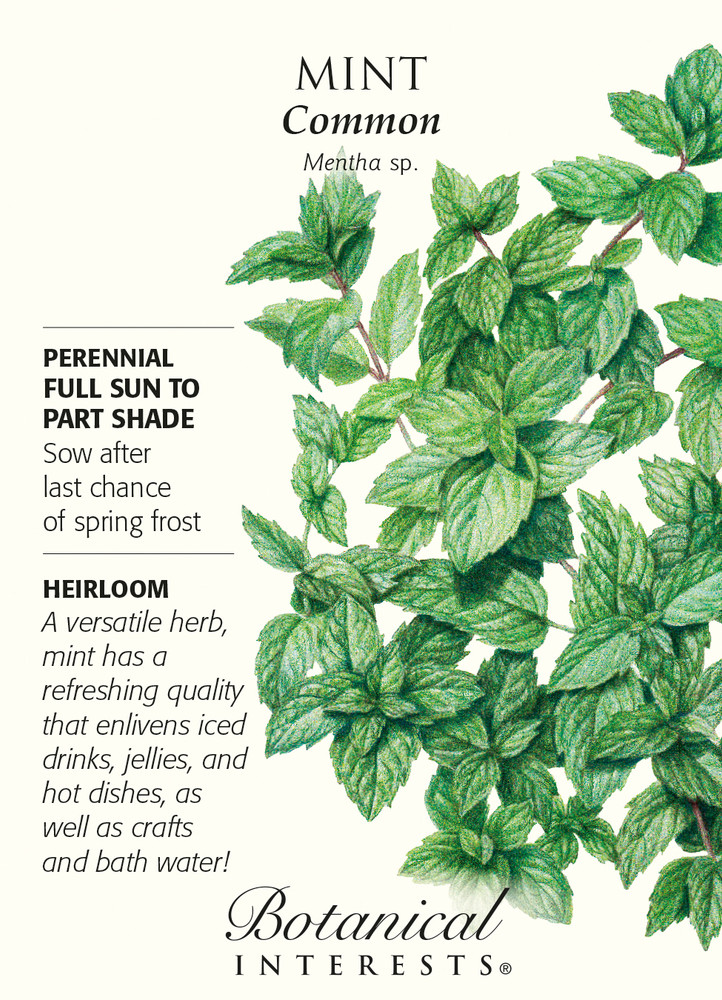 Common Mint Heirloom Seeds - 25 Milligrams