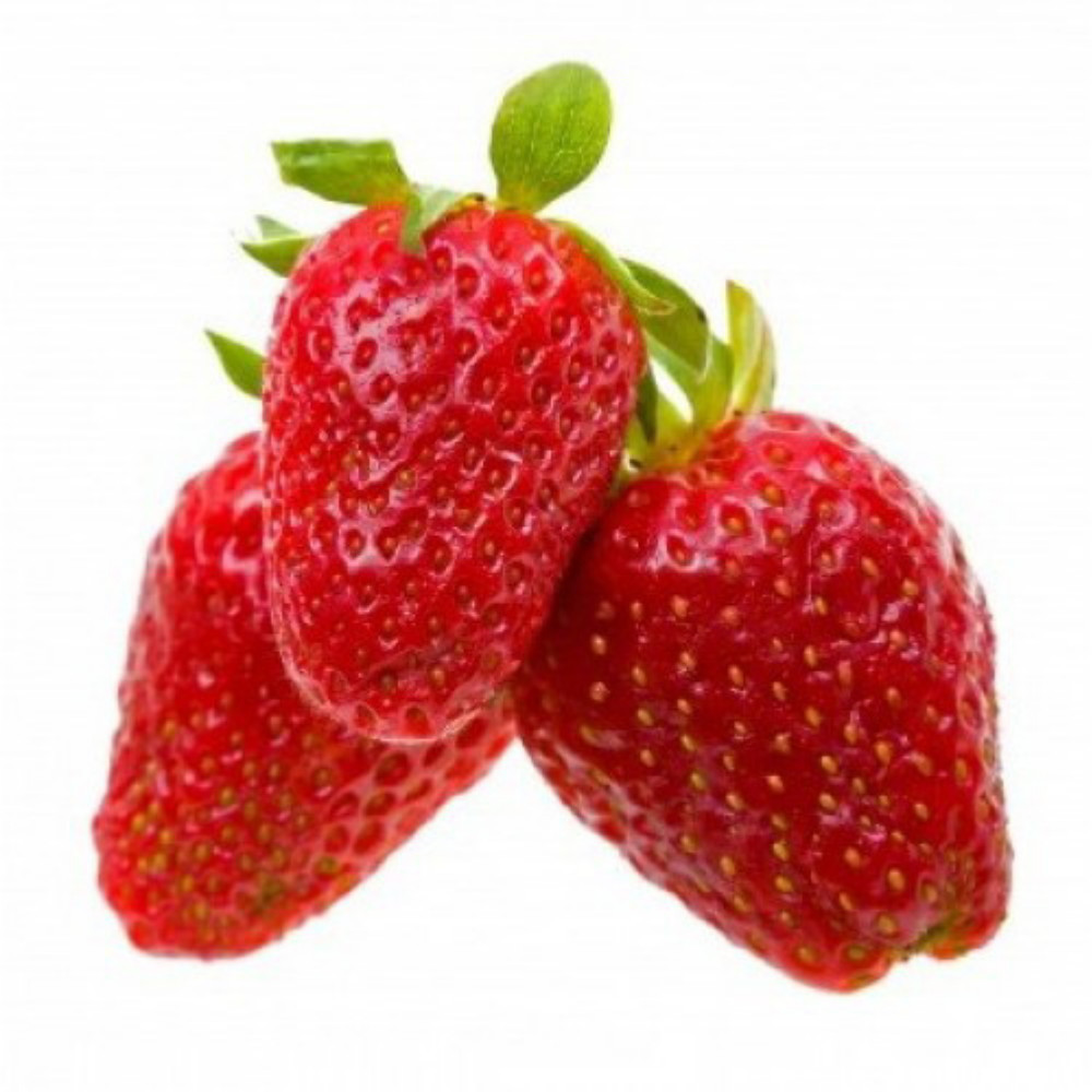 Rainbow Treasure F1 Strawberry - F. x ananassa - 50 Seeds - Hirt's