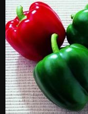 King of the North - Huge/Early - Best Sweet Bell Pepper For The North - 4" pot