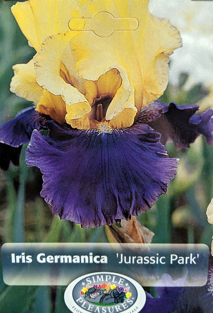 Jurassic Park Bearded German Iris  - #1 Bareroot Rhizome - Rebloomer