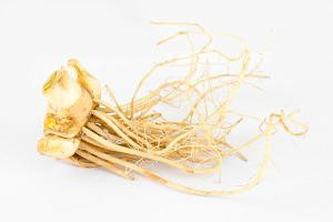 Speeding Again Bearded Iris - #1 Size Root - REBLOOMER