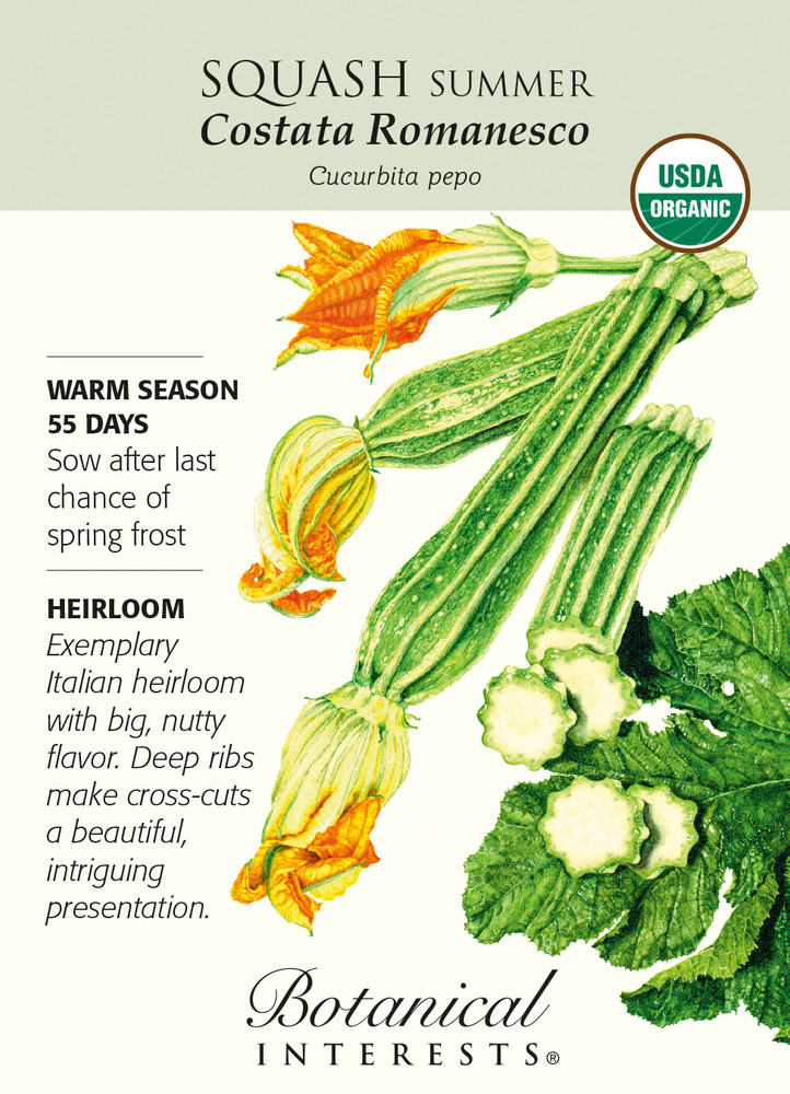 Organic Summer Squash Costata Romanesco Heirloom Seeds - 12 Seeds